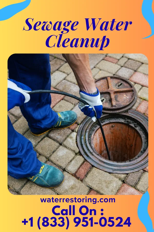 Sewage Water Cleanup in Eastlake, MI